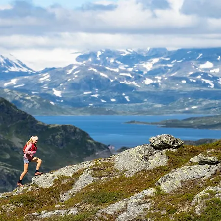 Filefjellstuene Og Appart hôtel Tyinkrysset